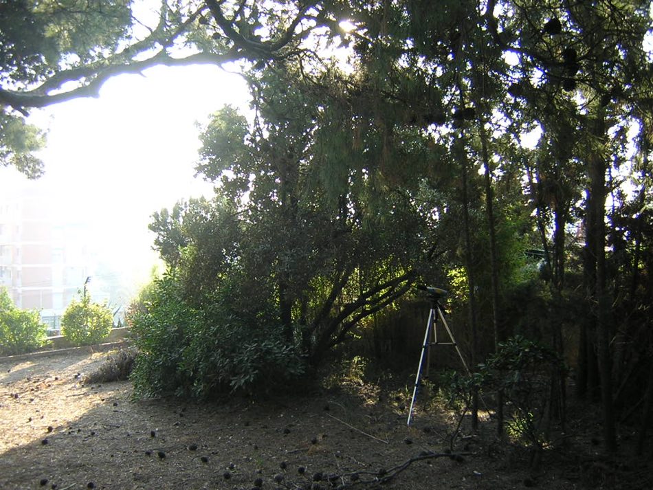 Estudi acústic parcs eòlics alt Emporda